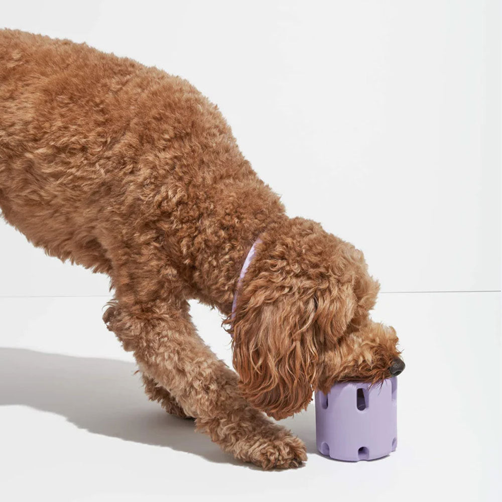 Furlee™ Tough Tennis Treat Dog Toy