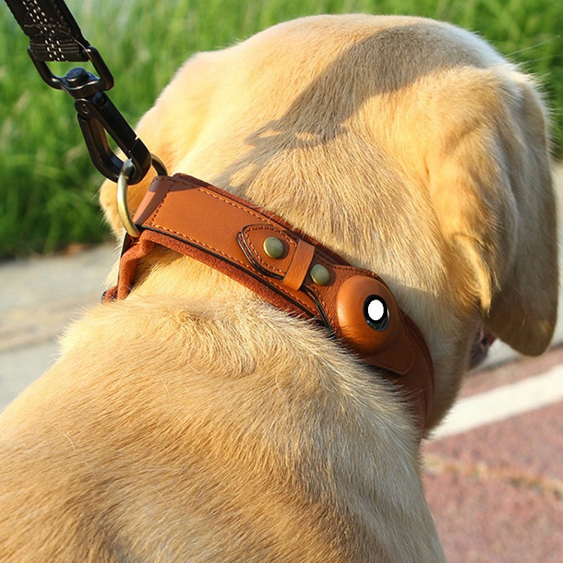 Premium AirTag Dog Collar – Compatible with Apple AirTag (AirTag Not Included)