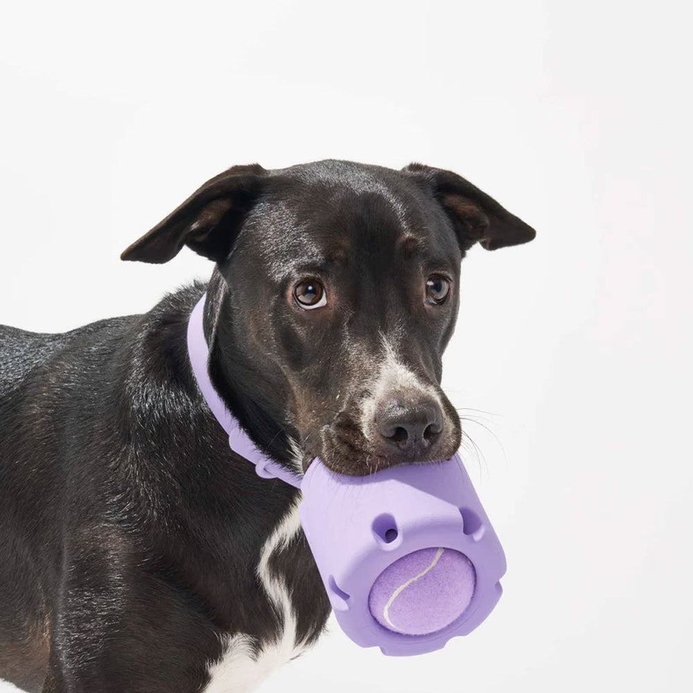 Furlee™ Tough Tennis Treat Dog Toy