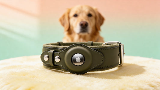 Premium AirTag Dog Collar – Compatible with Apple AirTag (AirTag Not Included)